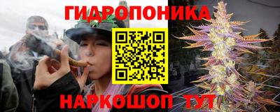 кокаин колумбия Аргун
