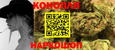 крисы Апшеронск