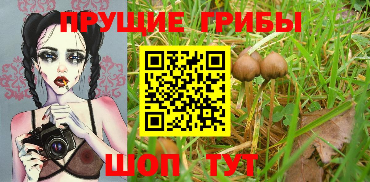 Артём  Галлюциногенные грибы мухоморы  Вход с VPN 